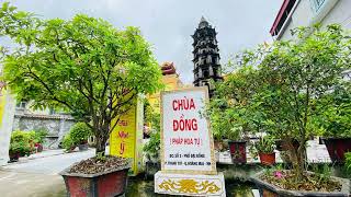 Tinh Hoa NIKAYA - Tâm Hiền Trí & Cách Lạy Diệt Ngã *