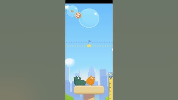 Cat Stack- Cute and Perfect Tower Builder Game!