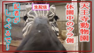 【生配信中！】休園中の動物園のウラ側に潜入の取材記者が生解説！あの動物がみせる仕草…実は何かが隠されていた！