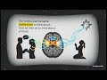 Science of Religion Part 7: The Neural Hardware of Belief
