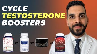 Celebrity Why You Should Be Cycling Herbal Testosterone Boosters Net Worth
