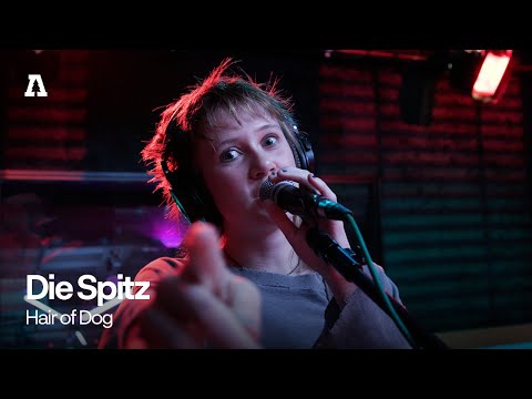 Die Spitz - Hair of Dog | Audiotree Live