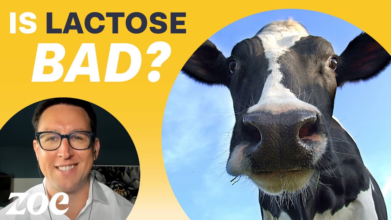 What is Lactose Intolerance?