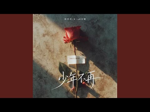 少年不再