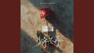 少年不再
