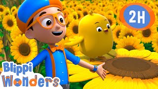 Spring Chick | Blippi Wonders | Moonbug Kids - Play and Learn by Moonbug Kids Play and Learn 45,844 views 1 month ago 2 hours, 4 minutes