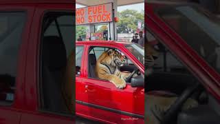 Fuel Shortage Crisis – Long Queues &amp; Rising Prices #fuelshortage