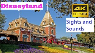 Disneyland: Sights and Sounds of the Park