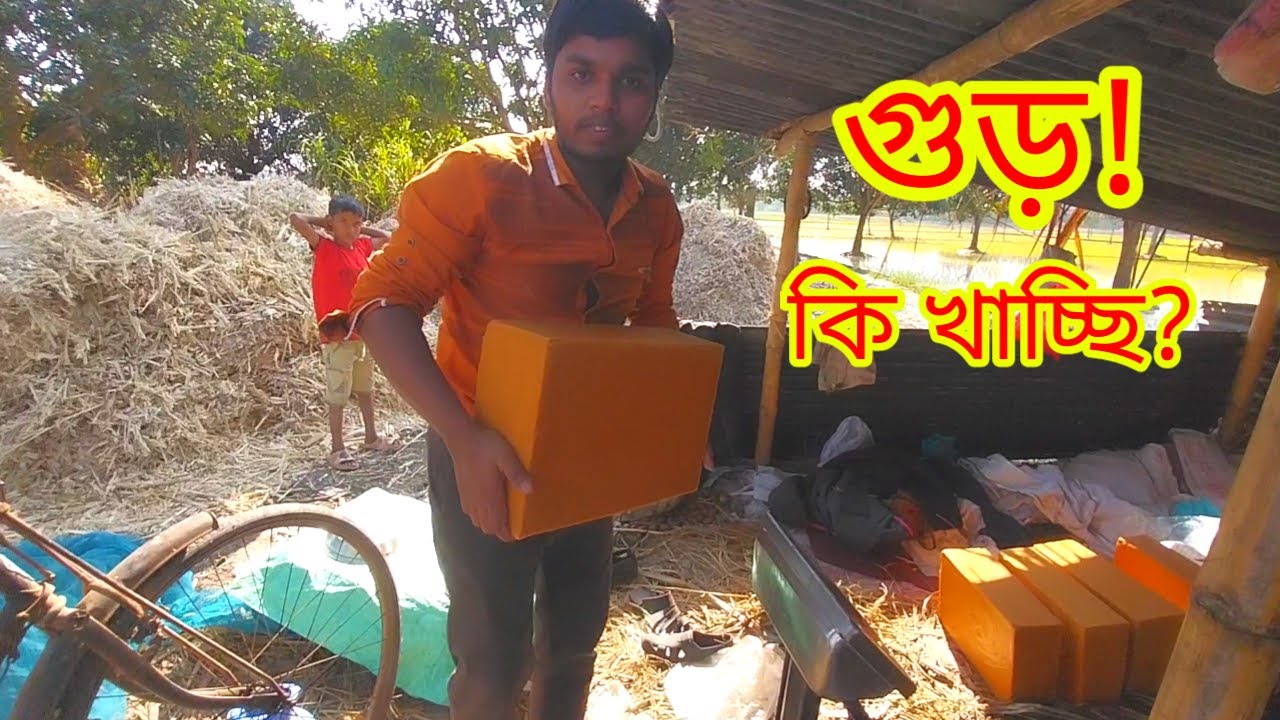 যেভাবে আখ থেকে গুড় তৈরি করা হয়।। গুড় তৈরির করার পদ্ধতি ।। How jaggery is made from sugarcane. ।।