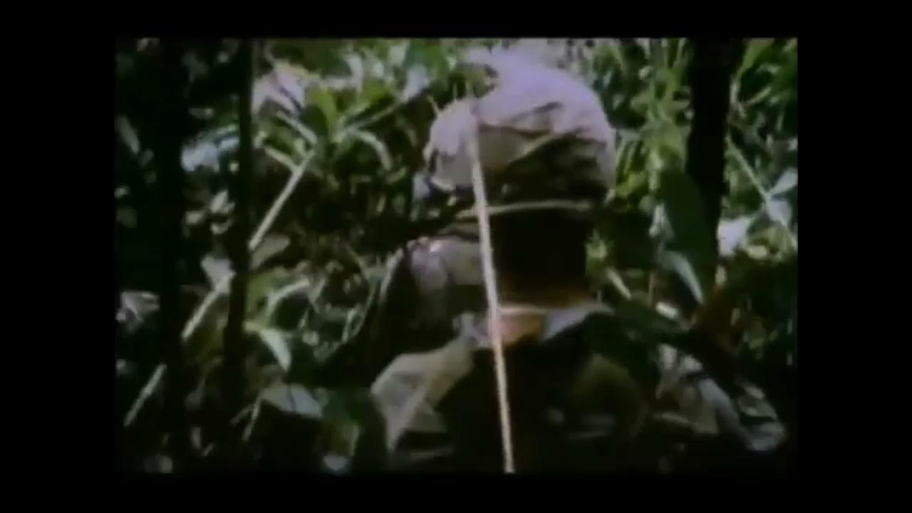 гсн а я повыше закатаю рукава текст