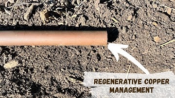 Regenerative Copper Management