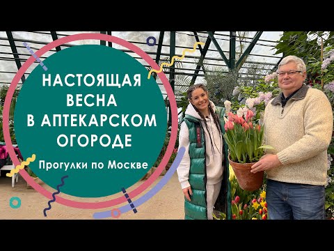 Настоящая весна в Аптекарском огороде. Прогулки по Москве