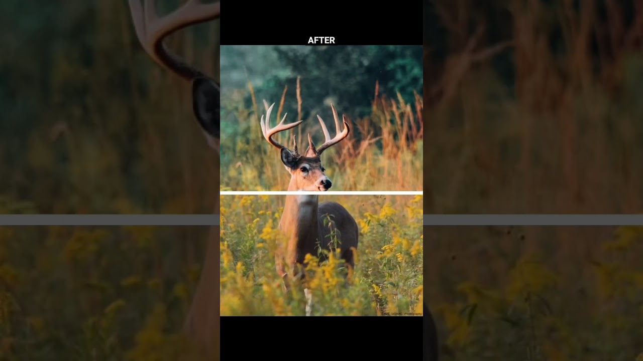 Humming Presets || Free download presets Lightroom 