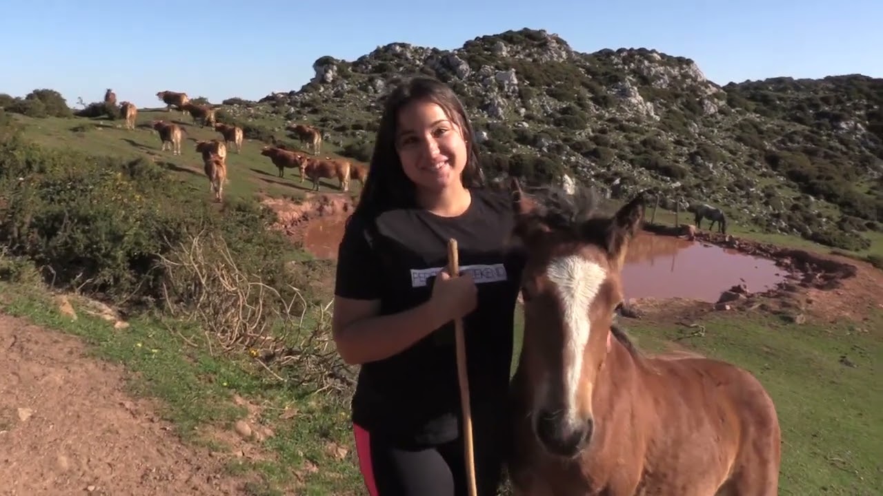 Ganaderos en su hábitat | Tudancas en Lamasón | 3.11.2023