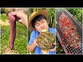 Top ten delicacies in rural china chinese mountain forest life and food moo tiktokfyp