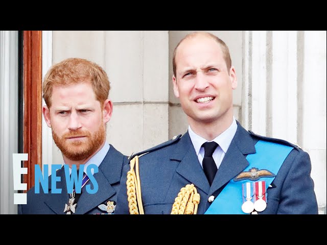 Prince William’s New Military Role SPARKS Controversy: Find Out Why | E! News