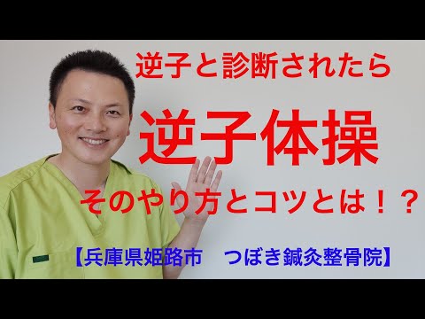 逆子と診断されたら逆子体操　そのやり方とコツとは！？「兵庫県姫路市　つぼき鍼灸整骨院】