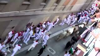 Five injured at Spanish bull festival - News