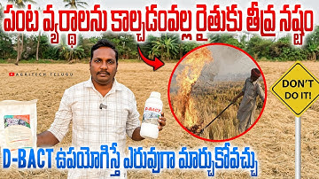 పంట వ్యర్ధాలను ఎరువుగా మార్చుకోండి | Easy Way To Decompose Agri Waste | D-Bact | AgriTech Telugu