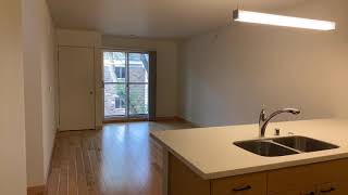 McBride Point, Apt. 323