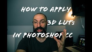 How to apply 3D LUTs screenshot 1