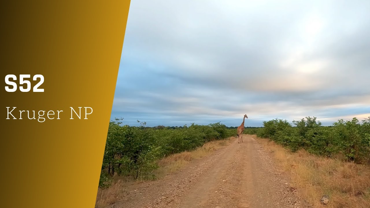 S52 around Red Rocks scenic self-drive - Kruger national park