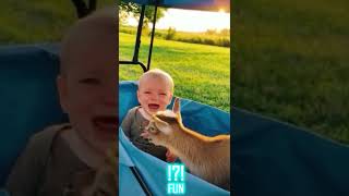 Funny and cute animal videos - FUN part 49 #shorts #funny #animals