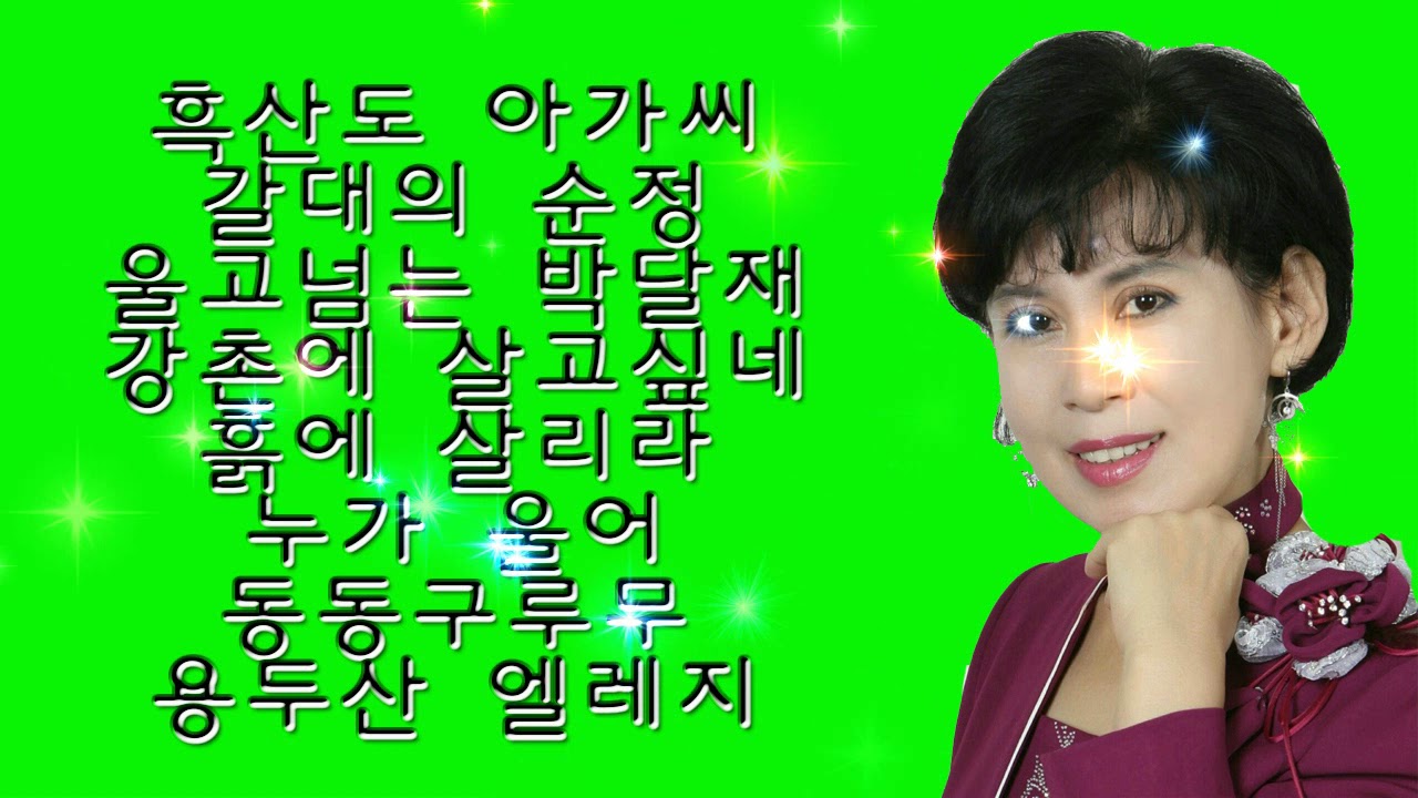가수 혜인 트로트메들리- 흑산도 아가씨,갈대의 순정외 여러곡 모음
