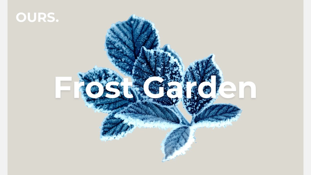 Frost Garden – Warm Mellow House to Soften the Cold Air