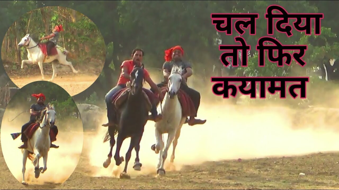 FULL CHAUTALA HORSE MUJAFARPUR EXPRESS RIDER-PONGA YADAV