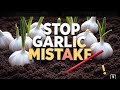 The #1 Garlic Planting Mistake Gardeners Make