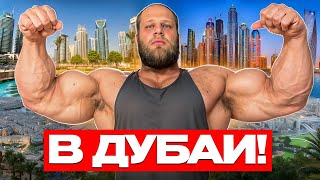 видео: АНДРЕЙ СМАЕВ В ДУБАЕ картинка: АНДРЕЙ СМАЕВ В ДУБАЕ