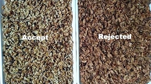 Belt infrared walnut color sorter