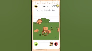 Brain test 4 level 11