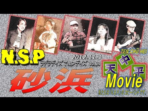 NSP「砂浜」カバー 天中平