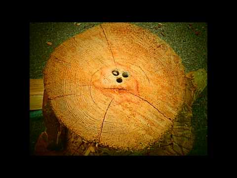 Bob Marley & The Wailers -  Small Axe (B Is Version)