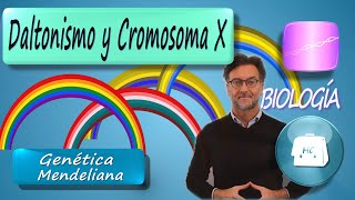 Color Blindness and the X Chromosome