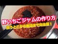 【完全収録】野いちごジャムの作り方