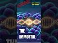 The Immortal Microbe: The Organism That Can Rebuild Its DNA  #absolutescience  #sciencepro #shorts