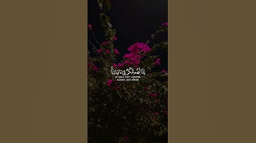 تلاوة خاشعه للشيخ عبد الرحمن مسعد #سبحان_الله_وبحمده_سبحان_الله_العظيم #راحة_نفسية #عبدالرحمن_مسعد