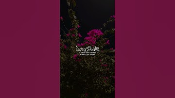 تلاوة خاشعه للشيخ عبد الرحمن مسعد #سبحان_الله_وبحمده_سبحان_الله_العظيم #راحة_نفسية #عبدالرحمن_مسعد