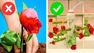 Gardening and farm hacks for your indoor and outdoor plants