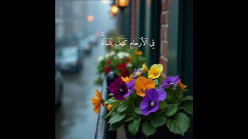 إِنَّ ٱللَّهَ لَا یَخۡفَىٰ عَلَیۡهِ شَیۡءࣱ|| #تلاوة القاريء#عبدالرحمن_مسعد #سورة_آل_عمران