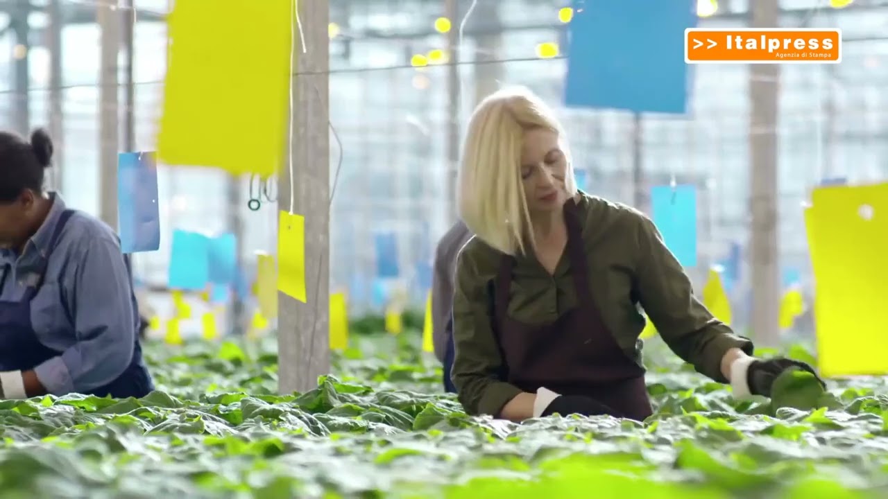 "Coltiva Italia", un maxi piano per l'agricoltura