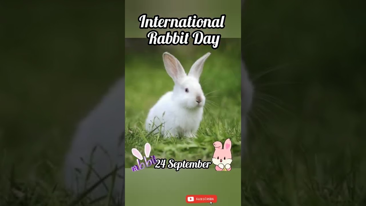 International Rabbit Day 🐰 24 September 