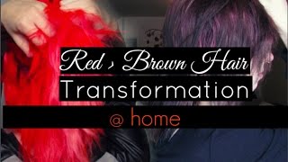Red To Brown Hair Transformation (+How To Fade Red Hairdye) ft. Ion Color Brilliance | Sara Saberi