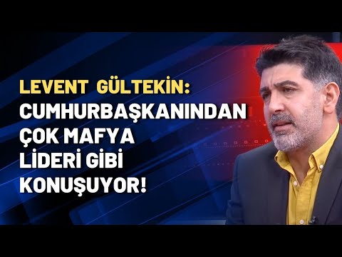 Levent Gültekin: Cumhurbaşkanından çok mafya lideri gibi konuşuyor!