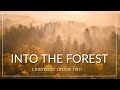 Into The Forest | cinematic drone film | shot on Canon EOS R & DJI Mavic Air 2