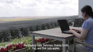 Drip Irrigation for Apples and Pears in Turkey: Netafim Customer Testimonial