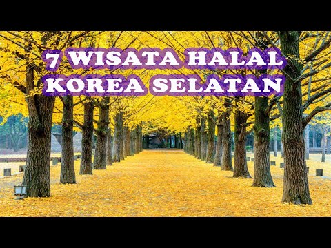 Video: Destinasi Wisata di AS Selatan